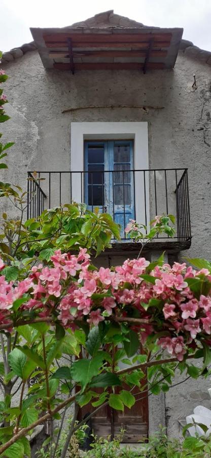 Ca Betulla Villa Novate Mezzola Dış mekan fotoğraf