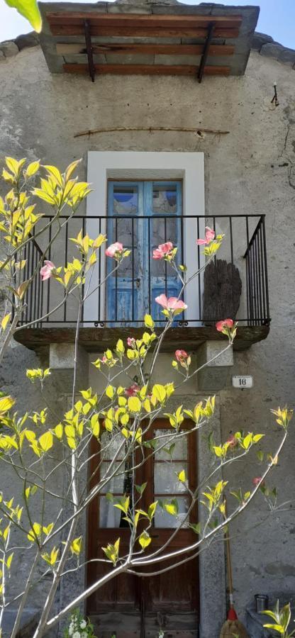 Ca Betulla Villa Novate Mezzola Dış mekan fotoğraf