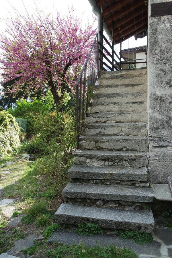 Ca Betulla Villa Novate Mezzola Dış mekan fotoğraf