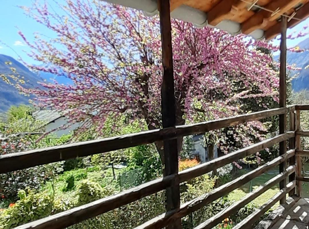 Ca Betulla Villa Novate Mezzola Dış mekan fotoğraf