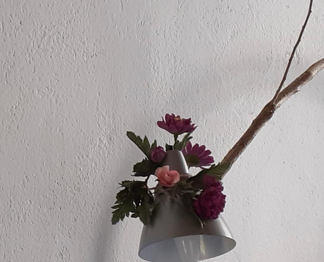 Ca Betulla Villa Novate Mezzola Dış mekan fotoğraf